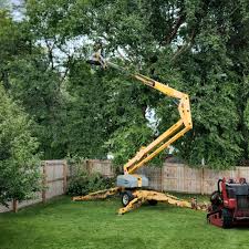 Best Tree Planting Services  in Cheltenham Village, PA